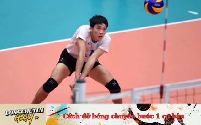 Cách đỡ bóng chuyền bước 1 cơ bản